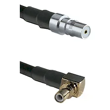 fieldcomponents202607190533302326555