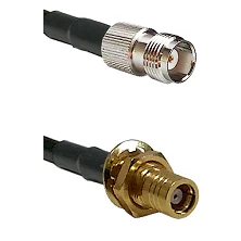 fieldcomponents202607190538062327756