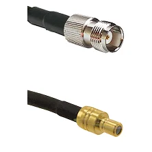 fieldcomponents202607190546222329841