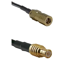 fieldcomponents202607190557552332692