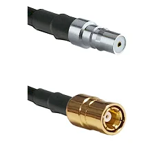 fieldcomponents202607190610152335788