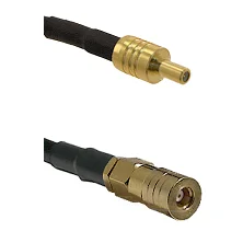 fieldcomponents202607190630122340881