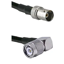 fieldcomponents202607190719032353906