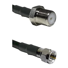 fieldcomponents202607190844432374274