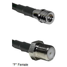 fieldcomponents202607190913062381263