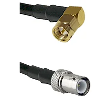 fieldcomponents202607190932172385578