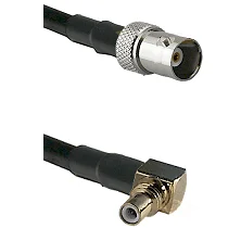 fieldcomponents202607190952432390942