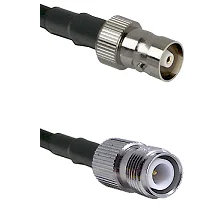 fieldcomponents202607190956182391839