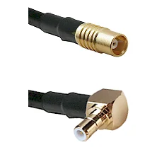 fieldcomponents202607191000272392872