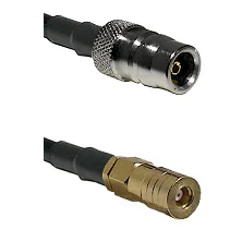 fieldcomponents202607191023292398862