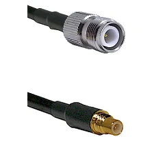 fieldcomponents202607191058262407704