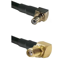 fieldcomponents202607191127542415219