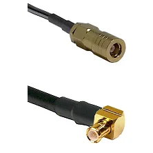 fieldcomponents202607191138572418137