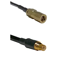 fieldcomponents202607191139092418187