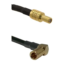 fieldcomponents202607191142112418931