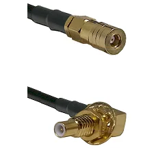 fieldcomponents202607191159022423357