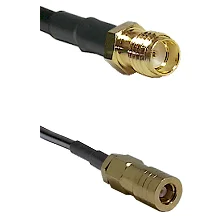 fieldcomponents202607191205442424978