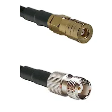 fieldcomponents202607191211122426495