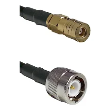fieldcomponents202607191211412426630