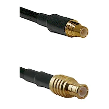fieldcomponents202607191218042428194
