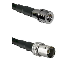 fieldcomponents202607191256222437723