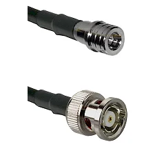 fieldcomponents202607191256242437729