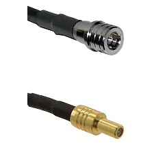 fieldcomponents202607191257102437947