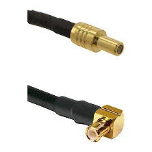 fieldcomponents202607191258522438377