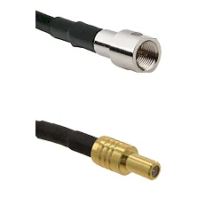fieldcomponents202607191303222439492