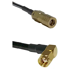 fieldcomponents202607191503222465075
