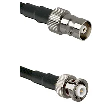 fieldcomponents202607191551012475803