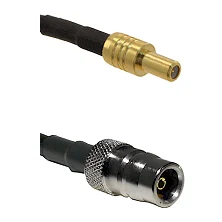 fieldcomponents202607191601252478447