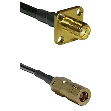 fieldcomponents202607191622122483769