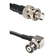 fieldcomponents202607191649472489600