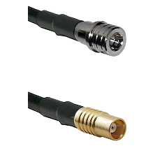 fieldcomponents202607191731322500263