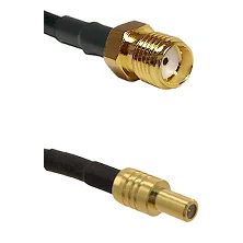 fieldcomponents202607191749042505197