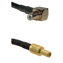 fieldcomponents202607191801092508599