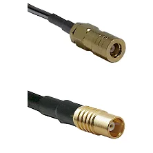 fieldcomponents202607191806492510256