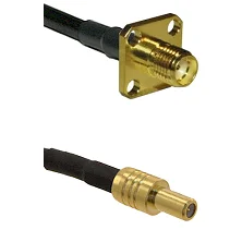 fieldcomponents202607191838492519684