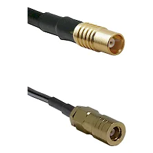 fieldcomponents202607191904442527285