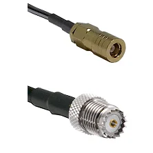 fieldcomponents202607191908012528325