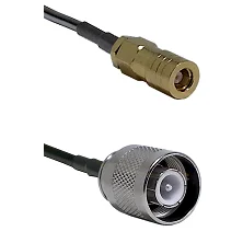 fieldcomponents202607191908392528536