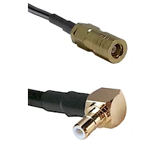 fieldcomponents202607191908472528587