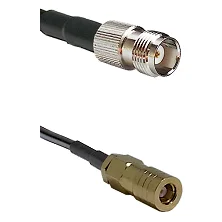 fieldcomponents202607191912452529824