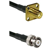 fieldcomponents202607191927092534412