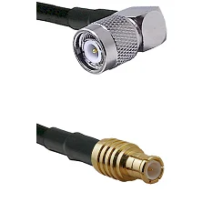 fieldcomponents202607191951312540573