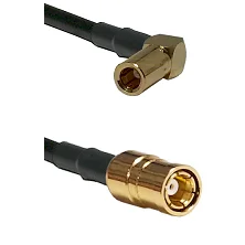 fieldcomponents202607191956452541891