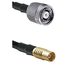 fieldcomponents202607192010322543871