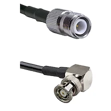 fieldcomponents202607192019022545275