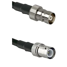 fieldcomponents202607192051042550909